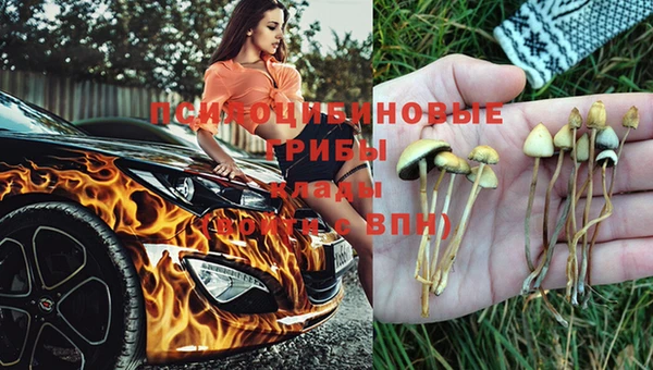 винт Белокуриха