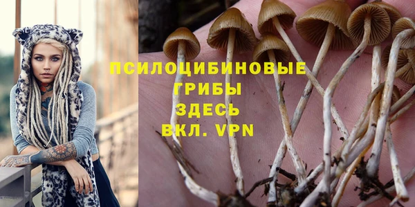 молекула духа Беломорск