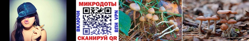 Псилоцибиновые грибы Magic Shrooms  Плёс 