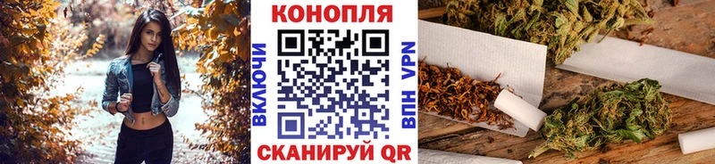 Бошки Шишки MAZAR  Плёс 